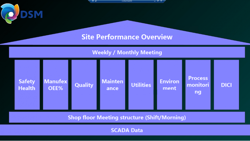 DSM1